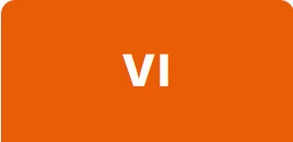 vi vi